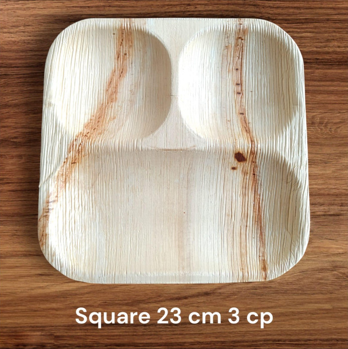 9"x9" | 3-Compartment Palm Leaf Lunch Plate – Square Portion Tray |Pack of 25